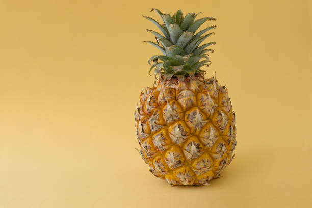 istock A baby pineapple on orange-beige background with copy space 1333527008