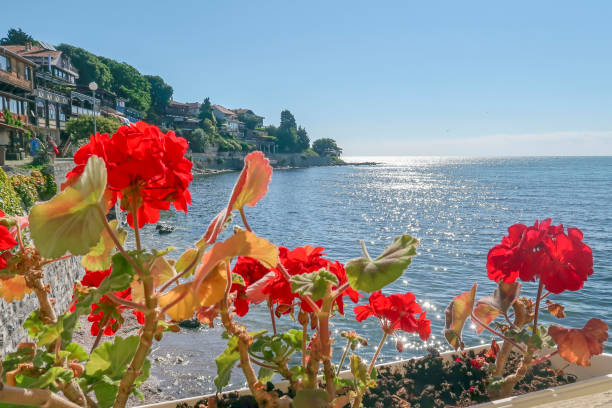 Coastal view of Nesebar city houses and embankment. Nesebar Bulgaria. Ancient town on the Black Sea coast