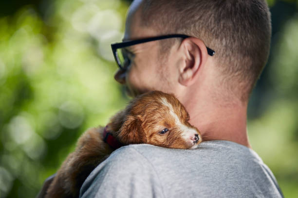 istock Man holding cute puppy on shoulder