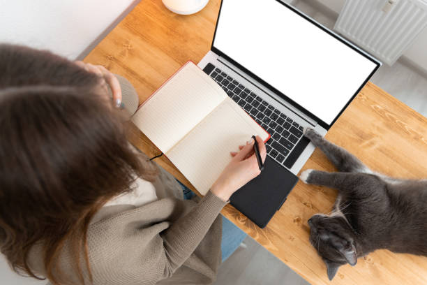 istock Unrecognizable pretty woman in grey cardigan calling by mobile phone and makes notes in a notepad. 1333531157