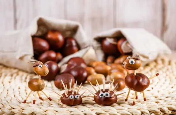 Using autumn fruits horse chestnuts and oak acorns to make fun animals, hedgehog, horse. Rustic textile bags full acorns and chestnuts. Fun autumn crafts concept.