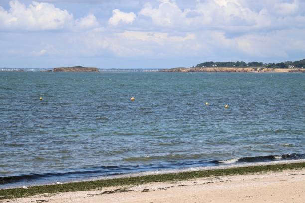 istock Beach in Loire Atlantique 1333531547