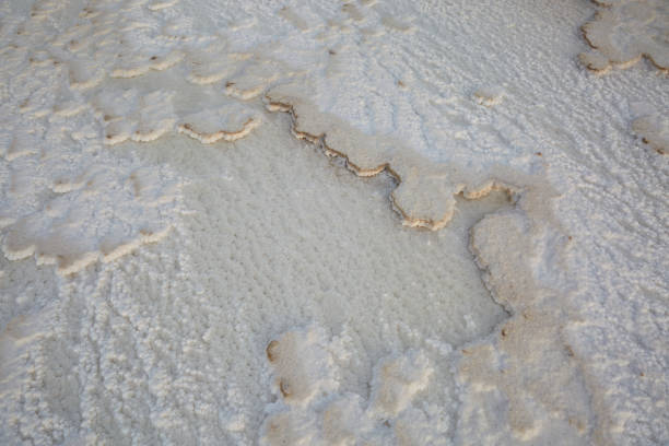 istock Danakil Desert salt plains, Ethiopia 1333538144