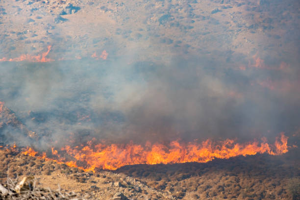 istock Dangerous burning flames covering a mountain. 1333540255