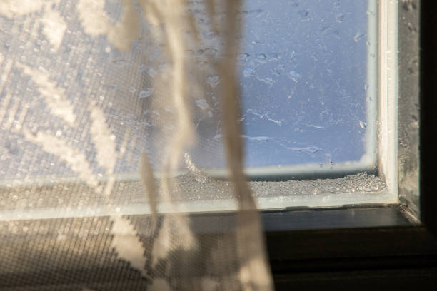 istock Condensate, mold and icing on the window. Building insulation and ventilation 1333540585