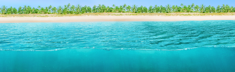 Wide horizontal design of tropical background split by sea water and beach
