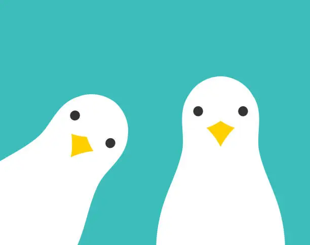 Vector illustration of Two funny seagulls. Sea birds flat background.