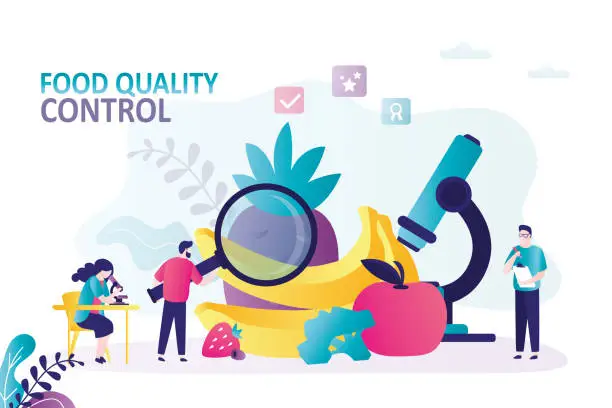 Vector illustration of Group of biochemists check quality of products. Man with magnifying glass checks composition of fruit