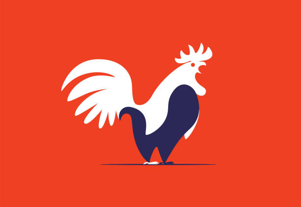 rooster crowing symbol vector art illustration