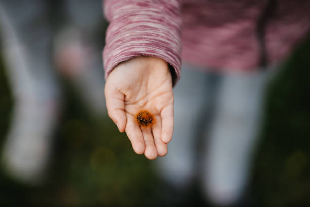 A close-up of a girl holding a caterpillar in her hand