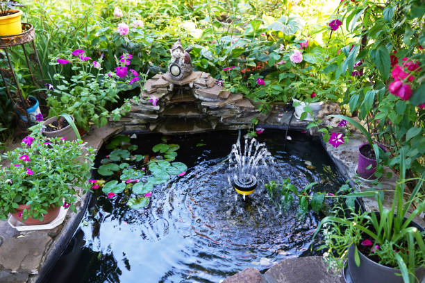 istock Decorative pond with fountain in the garden 1333545309