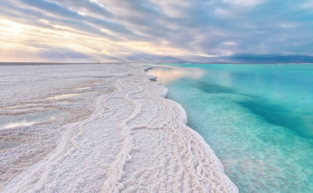 Morning scenery - white salt crystals beach, clear water near, typical landscape at Dead Sea shore, Israel stock photo