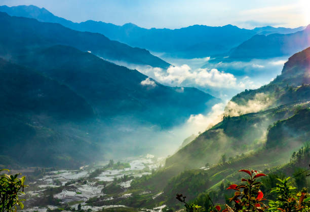 belle rizière en terrasse y tý avec de l’eau dans la province de lao cai au nord du vietnam - niiagata photos et images de collection