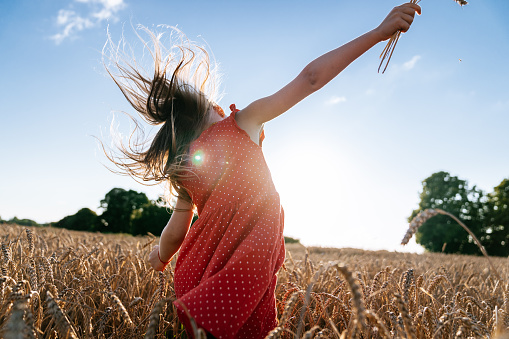 Summer scene - a little girl wearing red polka dot dress jumping and running in a field of wheat. Blue cloudless sky is on the background.