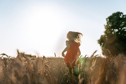 Summer scene - a little girl wearing red polka dot dress running in a field of wheat. Blue cloudless sky is on the background.