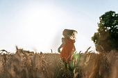 Photo from the back of a little girl running in a ripe field of wheat in sunset.