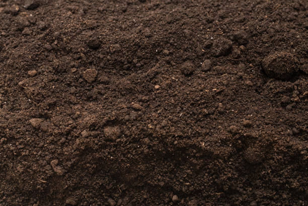 istock Black land for plant background. Top view. 1333554209