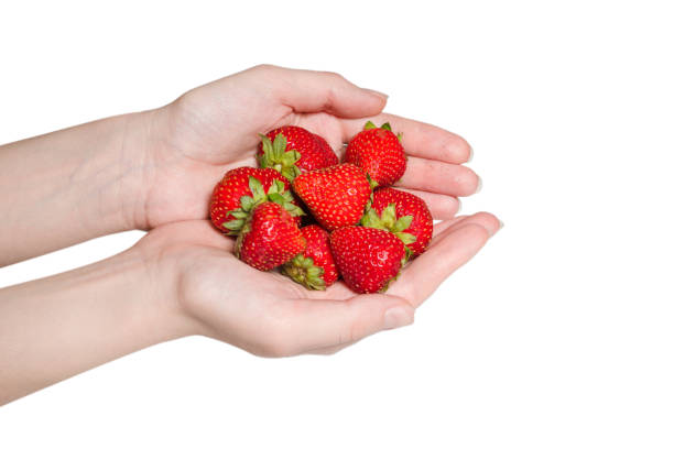 istock Strawberry kept in hands isolated on white background. 1333554228