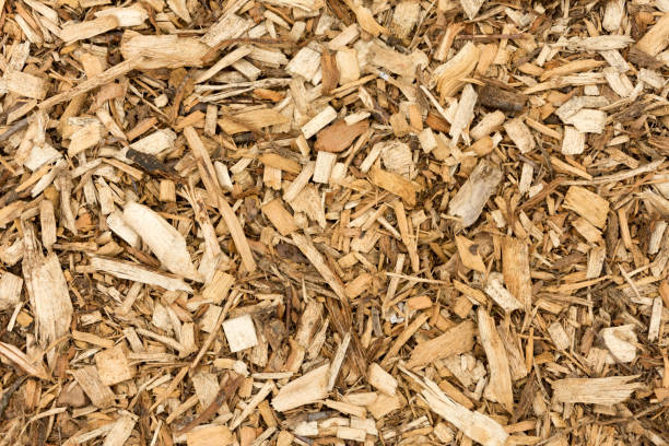istock Bark Wood Chips For Landscaping - Top View - Abstract Background 1333554657