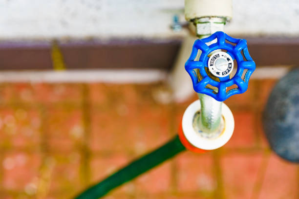 Garden outdoor tap with hosepipe attached.