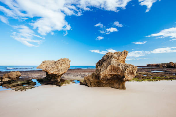 istock Monforts Beach in Blairgowrie Australia 1333565840