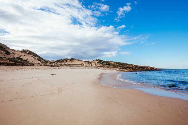 istock Monforts Beach in Blairgowrie Australia 1333565841