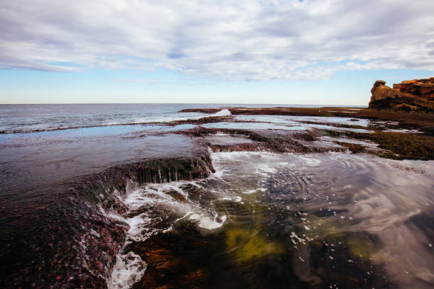istock Monforts Beach in Blairgowrie Australia 1333565858