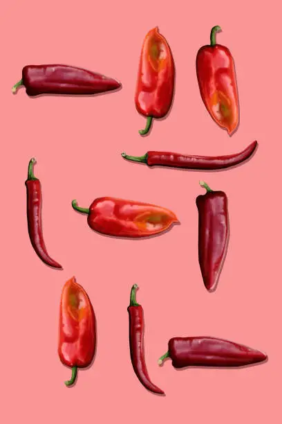 Vector illustration of Red pepper and chili stock illustration