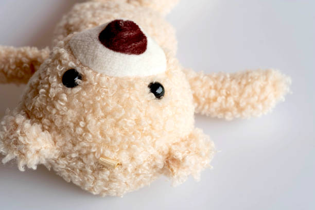 istock light cute brown teddy bear sleep on white background, take from head and focus eyes point 1333566167