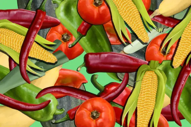 Vector illustration of Corn and other vegetables