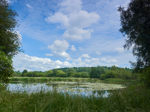 A broad sweep of UK countryside, with long grasses, a lake and a wooded hill framed by foreground trees, all under a blue, partly clouded summer sky.