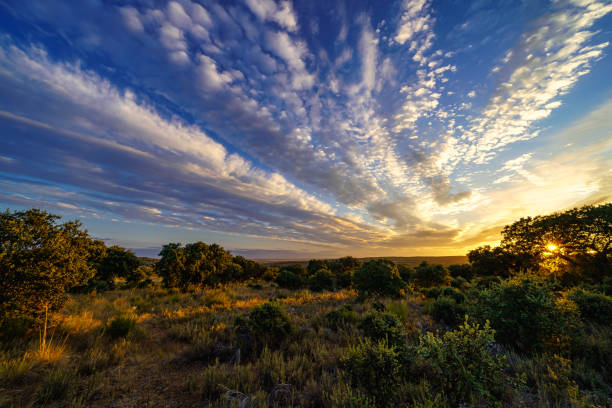 istock Golden sunset with sun rays and white clouds over colorful sky. 1333572451