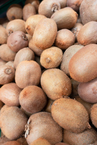 istock Kiwi fruits close up on background 1333578575