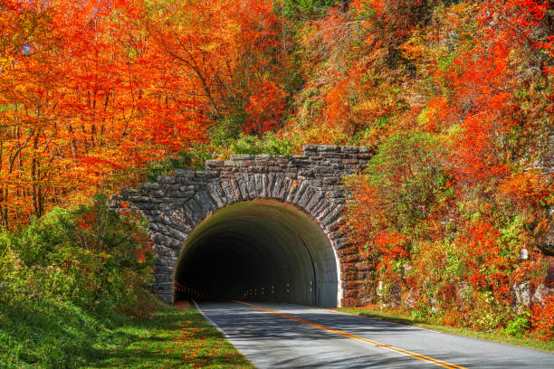istock Blue Ridge Parkway Tunnel in Pisgah National Forest 1333582103