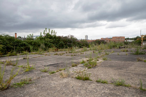istock Empty inner-city wasteground with dark clouds 1333586497