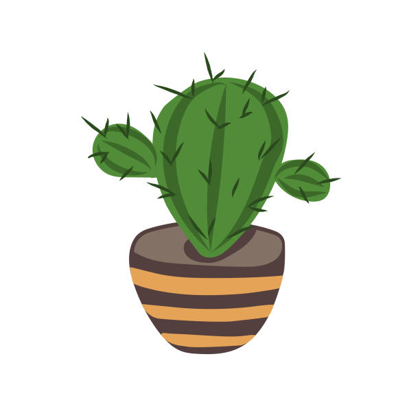 ilustraciones, imágenes clip art, dibujos animados e iconos de stock de cactus dibujados a mano en maceta en estilo garabato - cactus spine