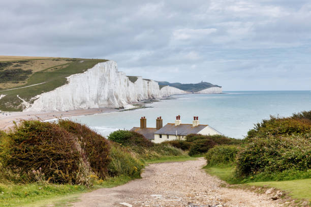 istock The landscape of Seven Sisters Cliffs 1333587963