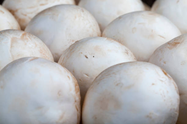 istock unwashed mushrooms champignon during cooking 1333589251