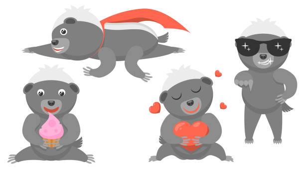Set Abstract Collection Flat Cartoon Different Animal Honey Badger Flies With A Cloak Eating A Cake Sits And Hugs The Heart Stand With Glasses Vector Design Style Elements Fauna Wildlife Set Abstract Collection Flat Cartoon
Different Animal Honey Badger Flies With A Cloak Eating A Cake Sits And Hugs The Heart Stand With Glasses Vector Design Style Elements Fauna Wildlife background of the honey badger stock illustrations