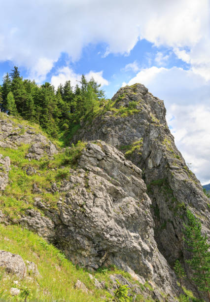 istock Mountain landscape in summer. Tatra Mountains 1333591083