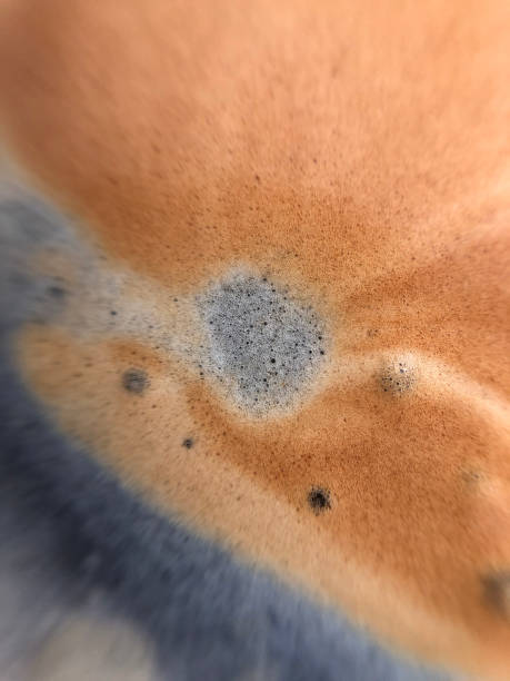 Extreme Close up of Brown and Dark Coloured Coffee Foam Bubbles