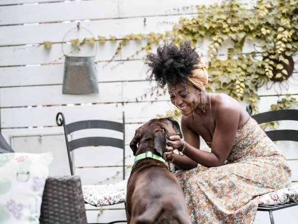 Young African woman relaxing with her boxer dog in back yard. She is wearing colourful summer dress and her natural curly black hair propped up in the bun.