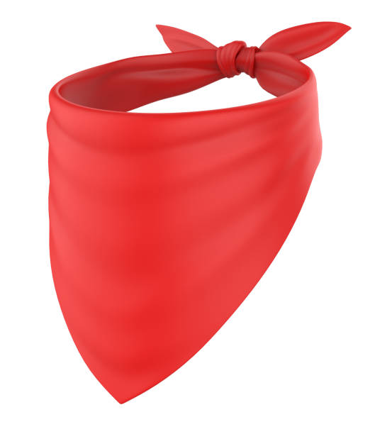 istock 3d blank pet bandana mockup template. 1333593570
