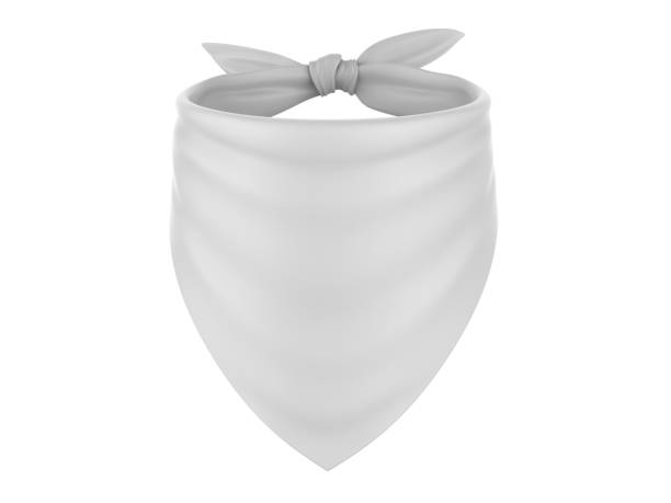 istock 3d blank pet bandana mockup template. 1333593571