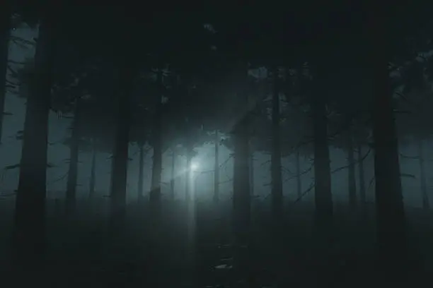 Photo of 3d rendering of pine forest with fern plants illuminated from the flashlight