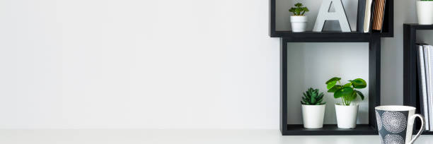 istock Home office. Homework. Black square shelves. Succulents as decoration. White wall copy space. Break at work. Coffee. Banner. 1333593765