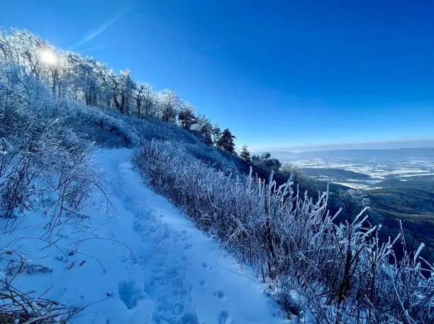 Photo of Shenandoah National Park - Snow