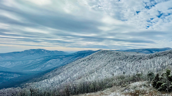 winter hilly landscape - trees covered with snow