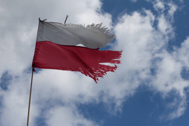 istock Destroyed, old Polish flag waving in the wind. 1333598351