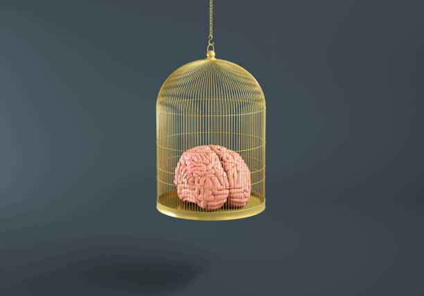 istock Brain In A Golden Cage - stock photo 1333598433